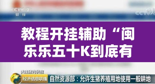 教程开挂辅助“闽乐乐五十K到底有没有挂	”(透视)其实确实有挂