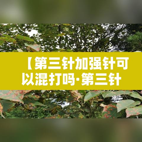【第三针加强针可以混打吗·第三针加强针多久能打】 【第三针加强针可以混打吗·第三针加强针多久能打】