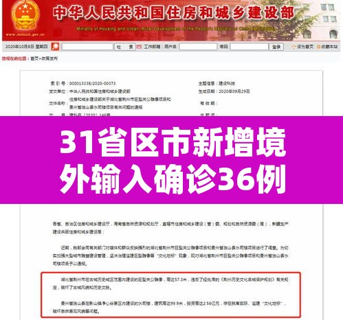 31省区市新增境外输入确诊36例:31省区市新增5例境外输入63 31省区市新增境外输入确诊36例:31省区市新增5例境外输入63