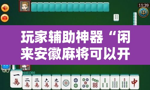 玩家辅助神器“闲来安徽麻将可以开挂吗”(透视挂)辅助透视教程