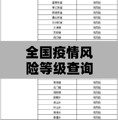 全国疫情风险等级查询 → 全国疫情风险等级查询服务平台
