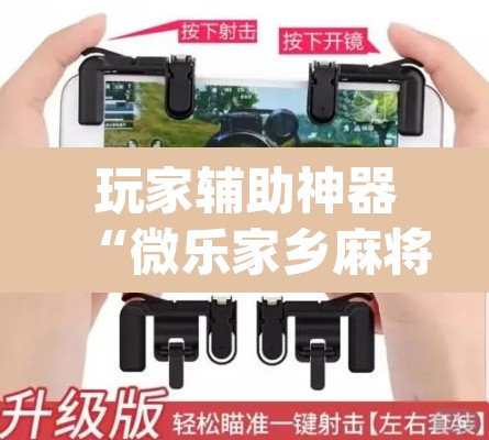 玩家辅助神器“微乐家乡麻将免费开挂	”(透视挂)辅助透视教程