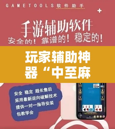 玩家辅助神器“中至麻将开挂软件	”其实确实有挂