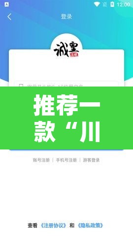 推荐一款“川渝互娱辅助”开挂辅助脚本+详细开挂安装教程