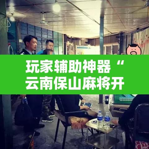 玩家辅助神器“云南保山麻将开挂神器下载”其实确实有挂