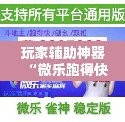玩家辅助神器“微乐跑得快万能开挂器通用版下载”(透视)其实确实有挂
