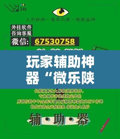 玩家辅助神器“微乐陕西三代辅助软件好用不	”附辅助神器开挂脚本详细步骤