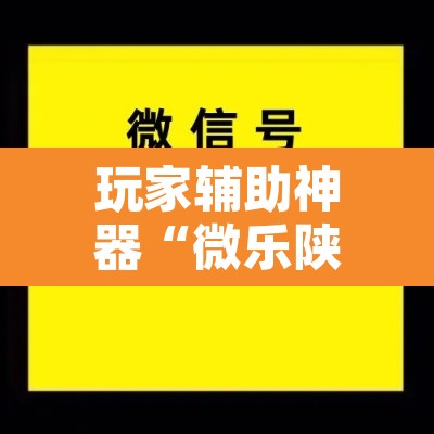 玩家辅助神器“微乐陕西三代辅助软件好用不	”附辅助神器开挂脚本详细步骤