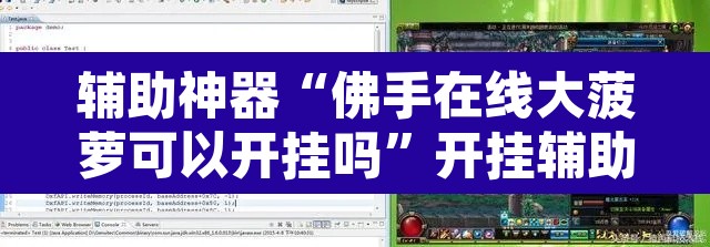 辅助神器“佛手在线大菠萝可以开挂吗	”开挂辅助脚本+详细开挂安装教程