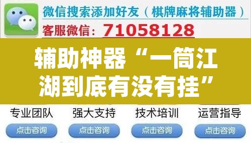 辅助神器“一筒江湖到底有没有挂	”(透视挂)辅助透视教程