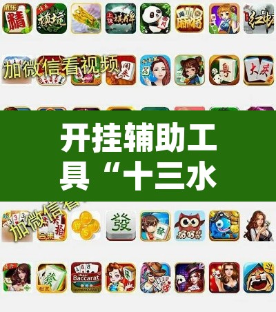 开挂辅助工具“十三水可以开挂吗”(透视挂)辅助透视教程