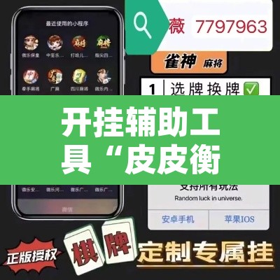 开挂辅助工具“皮皮衡阳字牌到底有没有挂”附辅助神器开挂脚本详细步骤