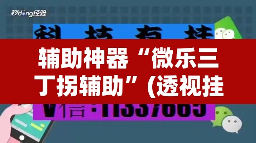辅助神器“微乐三丁拐辅助”(透视挂)辅助透视教程