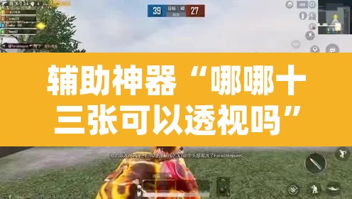 辅助神器“哪哪十三张可以透视吗”(透视)其实确实有挂