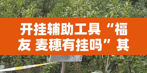 开挂辅助工具“福友 麦穗有挂吗”其实确实有挂