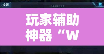 玩家辅助神器“WePoker系统辅助挂作弊器工具	”其实确实有挂