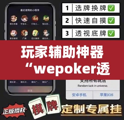 玩家辅助神器“wepoker透视辅助软件下载 ”其实确实有挂