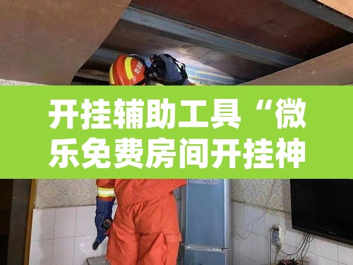 开挂辅助工具“微乐免费房间开挂神器”(透视挂)辅助透视教程