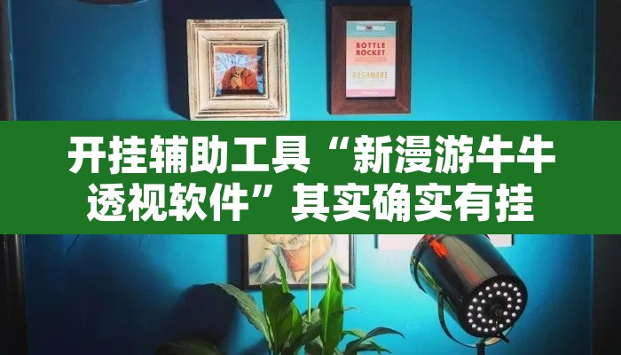 开挂辅助工具“新漫游牛牛透视软件	”其实确实有挂