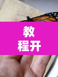 教程开挂辅助“蝴蝶大厅拼三张辅助挂”其实确实有挂