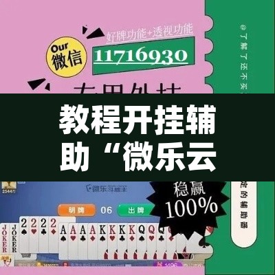 教程开挂辅助“微乐云南麻将小程序开挂免费软件	”其实确实有挂