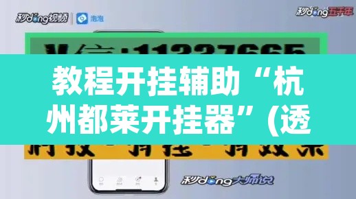 教程开挂辅助“杭州都莱开挂器”(透视挂)辅助透视教程