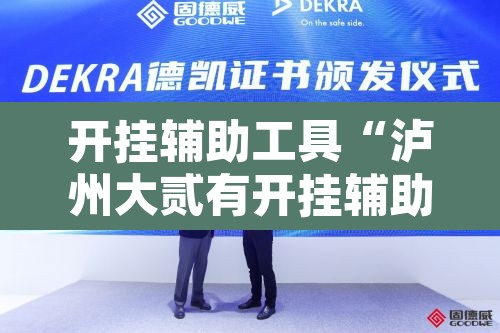 开挂辅助工具“泸州大贰有开挂辅助吗”附辅助神器开挂脚本详细步骤