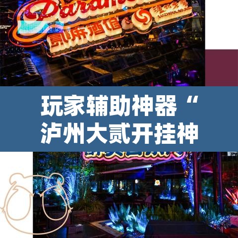 玩家辅助神器“泸州大贰开挂神器	”(透视)其实确实有挂