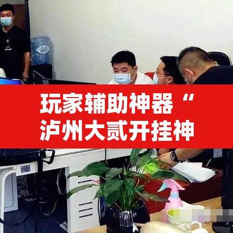 玩家辅助神器“泸州大贰开挂神器”(透视)其实确实有挂