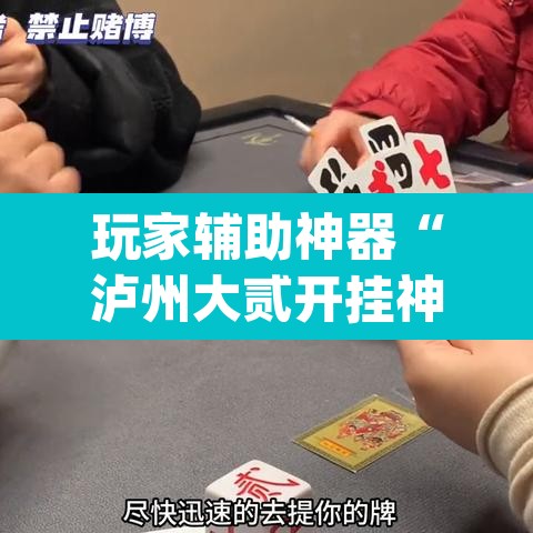 玩家辅助神器“泸州大贰开挂神器”(透视)其实确实有挂