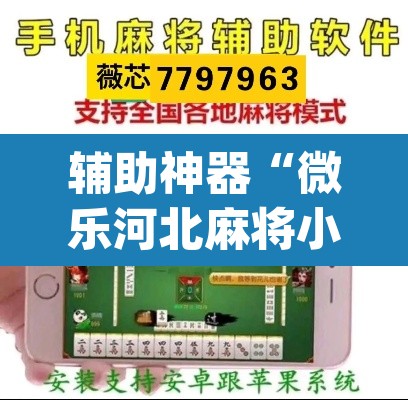 辅助神器“微乐河北麻将小程序万能挂免费版”(透视挂)辅助透视教程