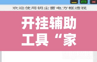 开挂辅助工具“家乡大二辅助软件”(透视挂)辅助透视教程