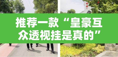 推荐一款“皇豪互众透视挂是真的	”其实确实有挂