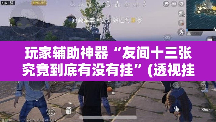 玩家辅助神器“友间十三张究竟到底有没有挂”(透视挂)辅助透视教程