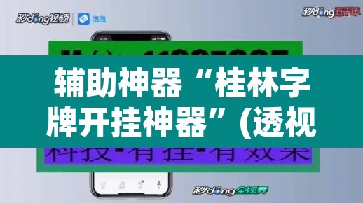 辅助神器“桂林字牌开挂神器”(透视挂)辅助透视教程