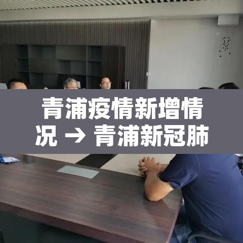 青浦疫情新增情况 → 青浦新冠肺炎最新消息