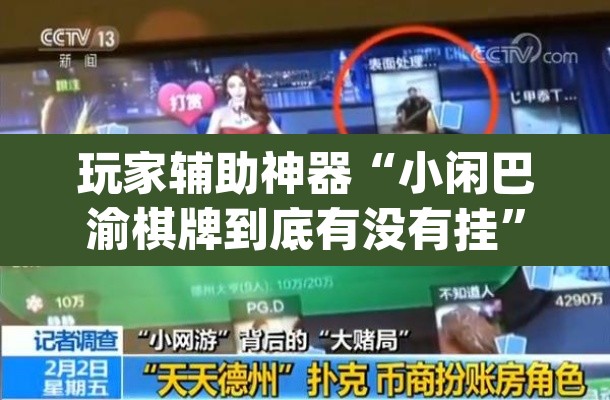 玩家辅助神器“小闲巴渝棋牌到底有没有挂”(透视挂)辅助透视教程