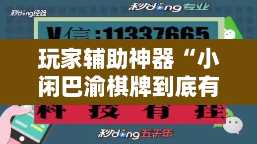 玩家辅助神器“小闲巴渝棋牌到底有没有挂”(透视挂)辅助透视教程