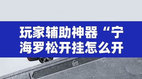 玩家辅助神器“宁海罗松开挂怎么开”其实确实有挂