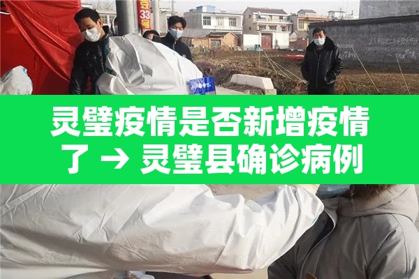 灵璧疫情是否新增疫情了 → 灵璧县确诊病例 灵璧疫情是否新增疫情了 → 灵璧县确诊病例
