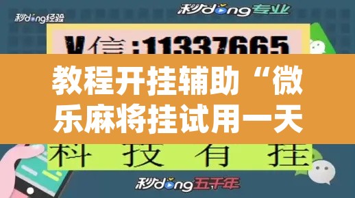 教程开挂辅助“微乐麻将挂试用一天	”(透视挂)辅助透视教程