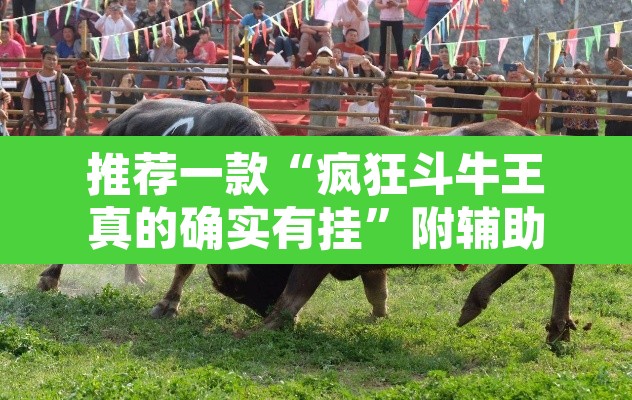 推荐一款“疯狂斗牛王真的确实有挂”附辅助神器开挂脚本详细步骤