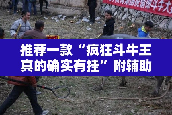 推荐一款“疯狂斗牛王真的确实有挂”附辅助神器开挂脚本详细步骤