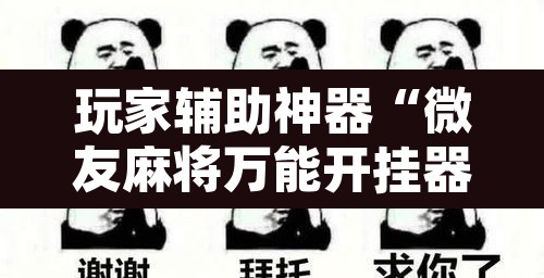 玩家辅助神器“微友麻将万能开挂器	”其实确实有挂
