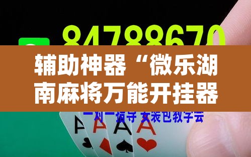 辅助神器“微乐湖南麻将万能开挂器免费	”(透视)其实确实有挂