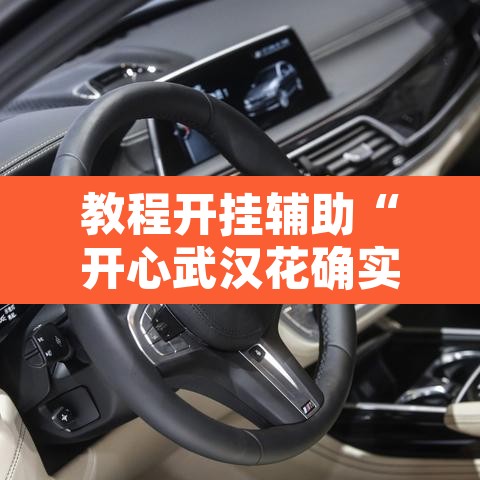 教程开挂辅助“开心武汉花确实真的有挂”其实确实有挂