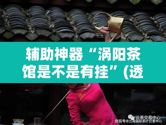 辅助神器“涡阳茶馆是不是有挂”(透视)其实确实有挂