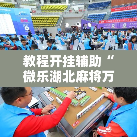 教程开挂辅助“微乐湖北麻将万能开挂器通用版”其实确实有挂