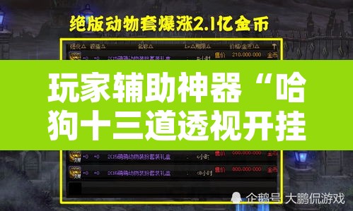 玩家辅助神器“哈狗十三道透视开挂	”附辅助神器开挂脚本详细步骤