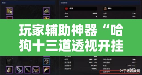 玩家辅助神器“哈狗十三道透视开挂”附辅助神器开挂脚本详细步骤